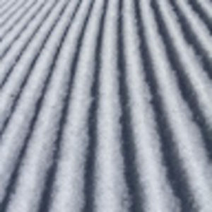 Meet your Posher, Hans